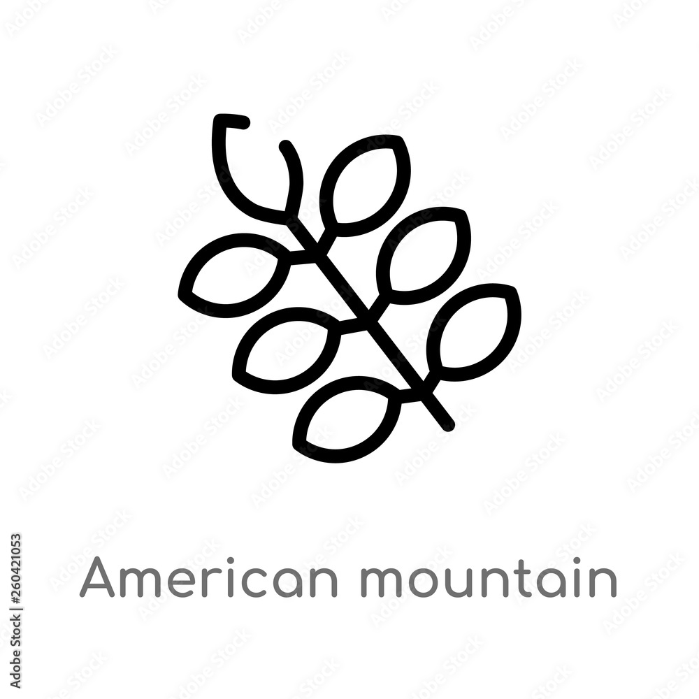 outline american mountain ash vector icon. isolated black simple line element illustration from nature concept. editable vector stroke american mountain ash icon on white background outline american mountain ash vector icon. isolated black simple line element illustration from nature concept. editable vector stroke american mountain ash icon on white background