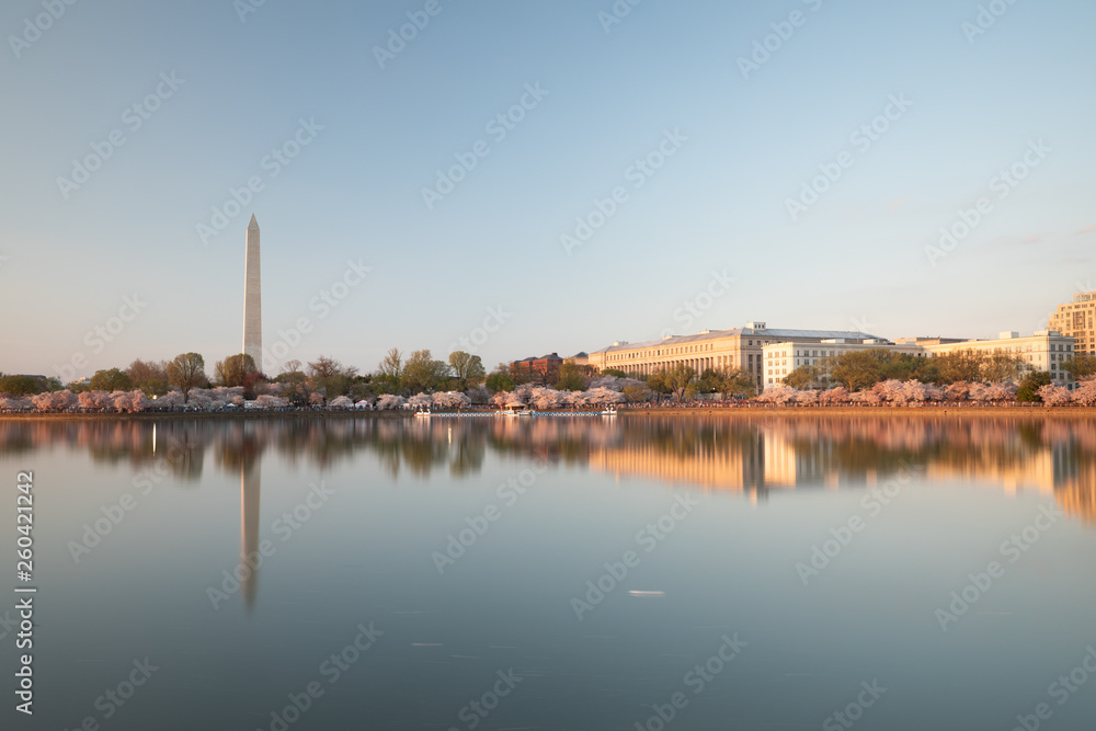 Fototapeta premium Washington Monument view from with reflection on the Tidal Basing. As seen from the Jefferson Memorial grounds. Taken in April 2019 during Cherry Blossoms Festival.