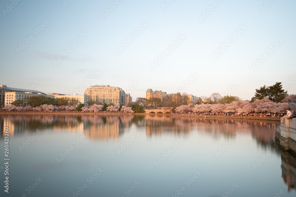 Reflection of building in the Tidal Basin of the Jefferson Memorial during the sunset. Taken during the Cherry Blossoms Festival on April 2019.