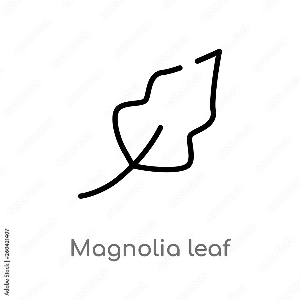 outline magnolia leaf vector icon. isolated black simple line element illustration from nature concept. editable vector stroke magnolia leaf icon on white background outline magnolia leaf vector icon. isolated black simple line element illustration from nature concept. editable vector stroke magnolia leaf icon on white background