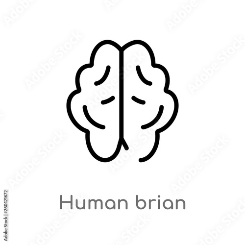 outline human brian vector icon. isolated black simple line element illustration from nature concept. editable vector stroke human brian icon on white background photo