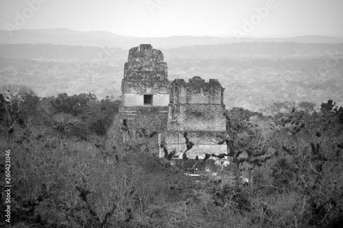 The archaeological site of the pre-Columbian Maya civilization in Tikal National Park , Guatemala The park is UNESCO World Heritage Site since 1979