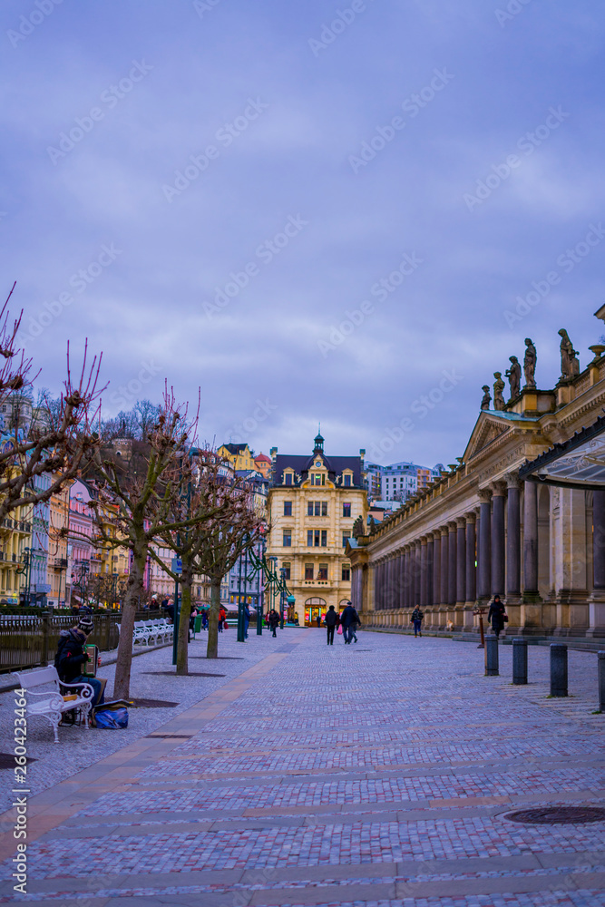 Fototapeta premium houses in karlovy vary