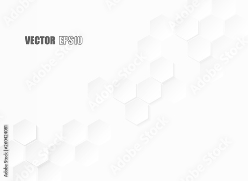 Abstract. Hexagon paper geometric. white Background ,light and shadow .Vector.
