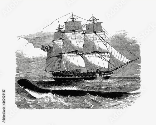 Ship on the ocean