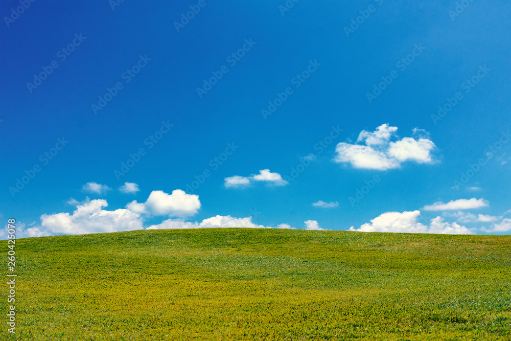 Obraz premium green grass field with clouds and blue sky background.