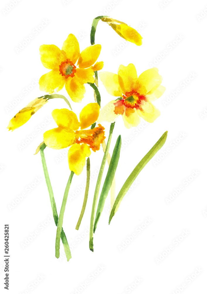 Naklejka premium Beautiful spring bouquet. Composition with yellow daffodils. Watercolor background.