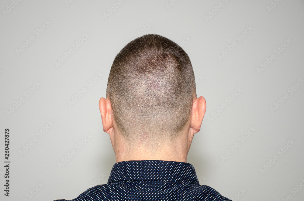 Back view portrait of a man with short haircut Stock Photo | Adobe Stock