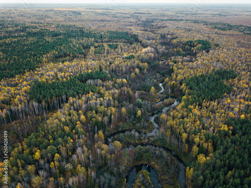 Drone view on river and forest in Russia