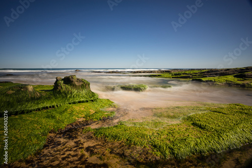 Powlett River near Phillip Island photo