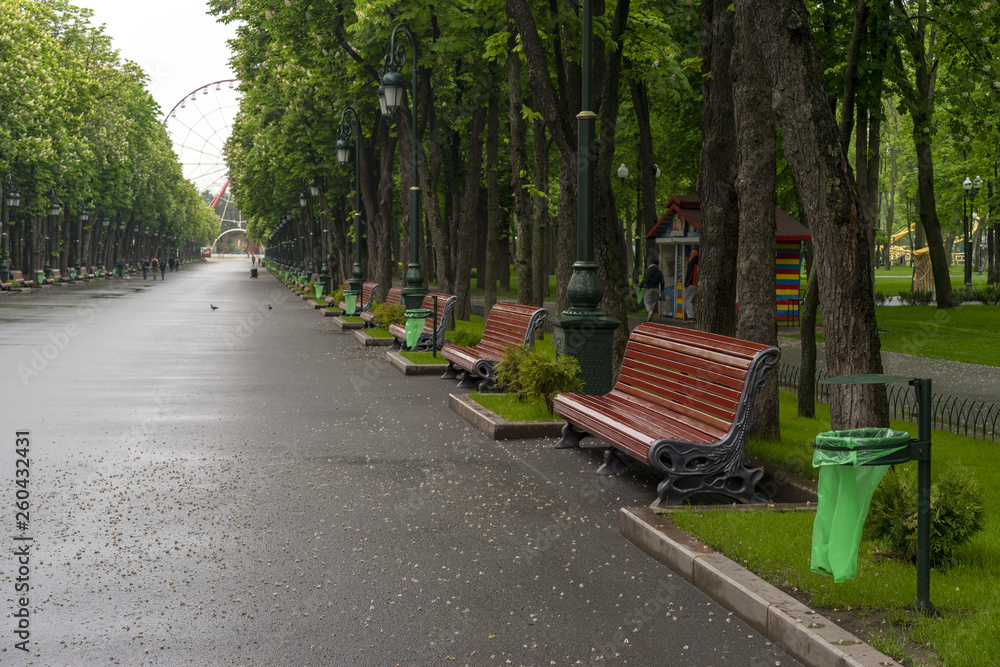 city Park with benches in summer after rain
