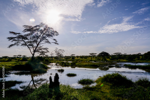 Landscape in Manyara National Park photo