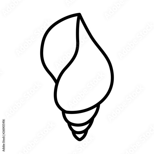Whelk sea snail seafood line art vector icon for wildlife apps and websites