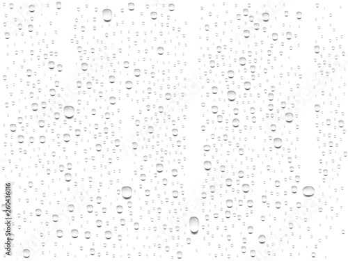 vector realistic transparent water drops on a white background