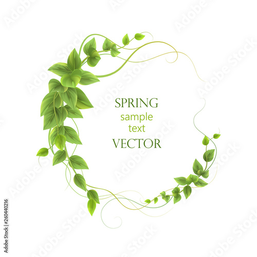 Round frame. leaves ,vector