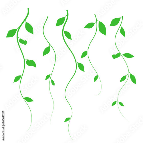 Separate twigs, vector. Green leaves