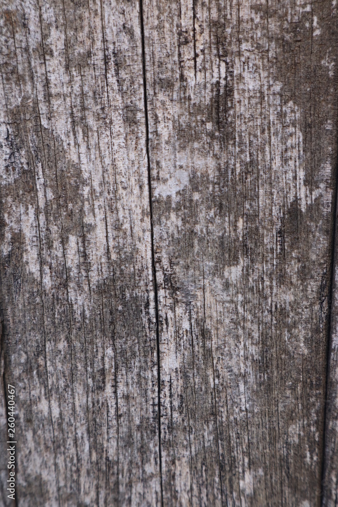 natural light wood texture background natural light wood texture background