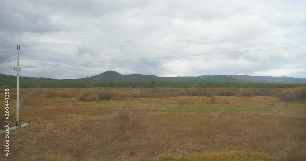 Landscape view of glum cloudy sky tree grass plant electric pole and old small house from Trans Siberian window Landscape view of glum cloudy sky tree grass plant electric pole and old small house from Trans Siberian window