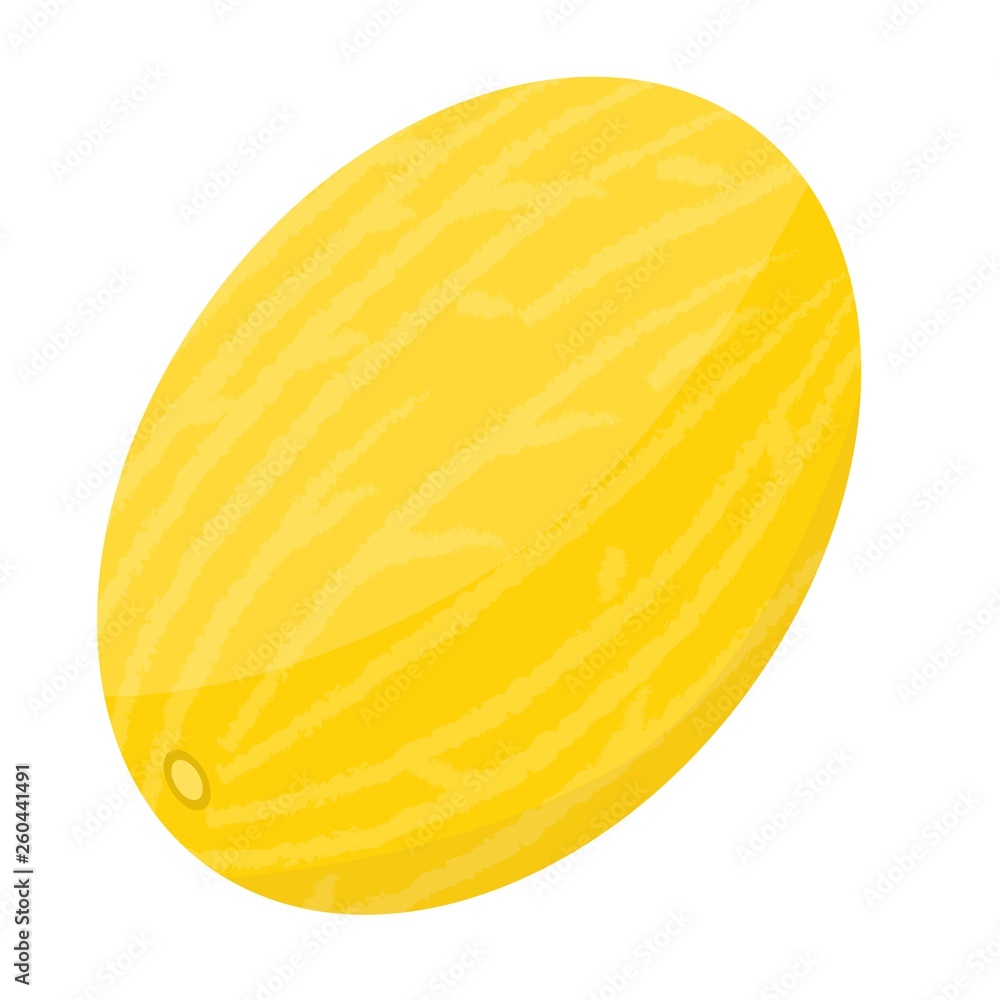 Whole melon icon. Isometric of whole melon vector icon for web design isolated on white background Whole melon icon. Isometric of whole melon vector icon for web design isolated on white background