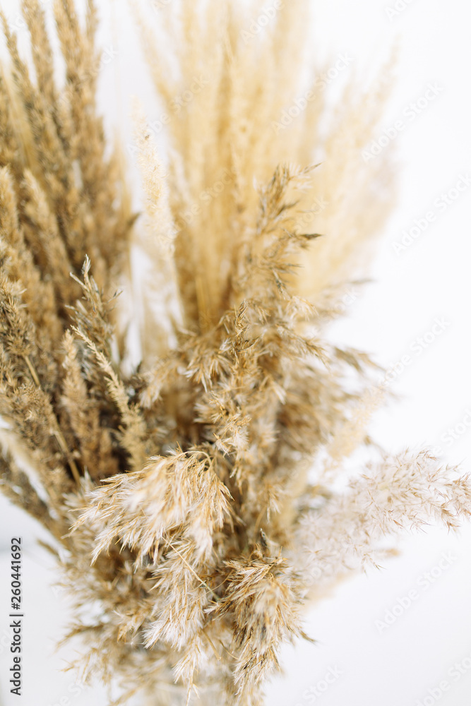 Minimalism in the interior decor. Bright modern interior with dried flowers. Minimalism in the interior decor. Bright modern interior with dried flowers.