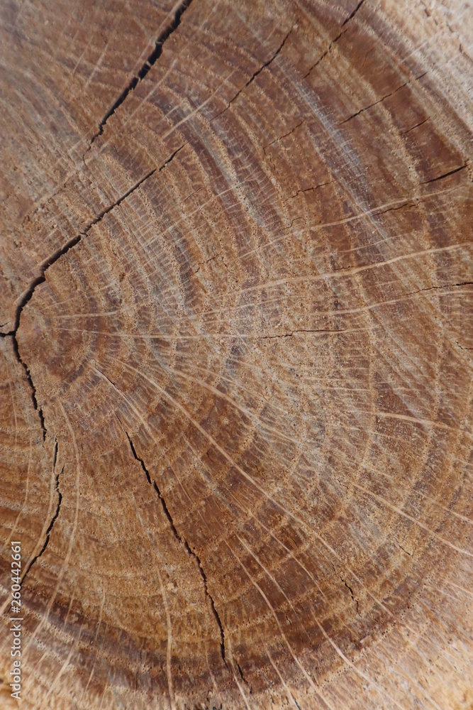 Naklejka premium natural light wood texture background