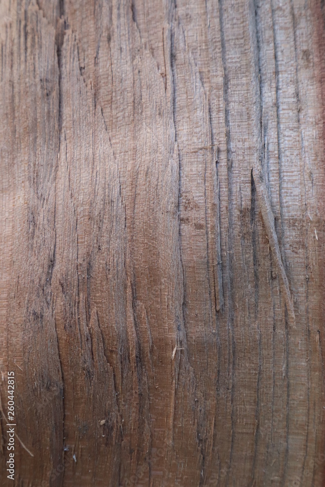 natural light wood texture background natural light wood texture background