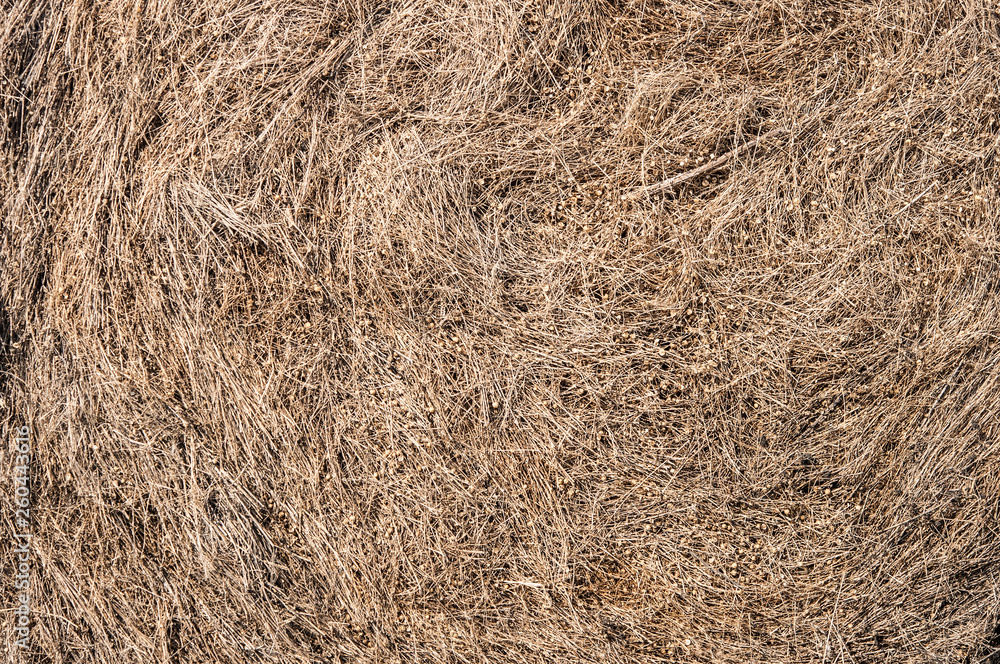 roll a stack of wheat straw on the field roll a stack of wheat straw on the field