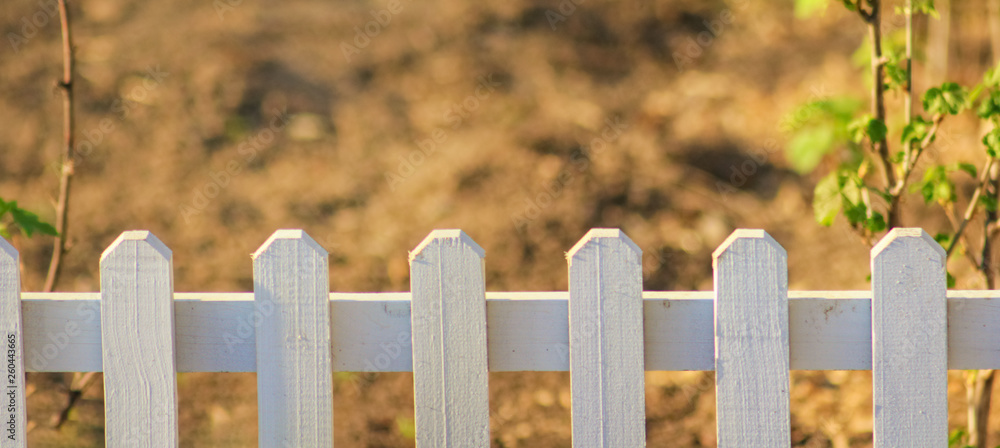 beautiful  garden with white fence and blurred background