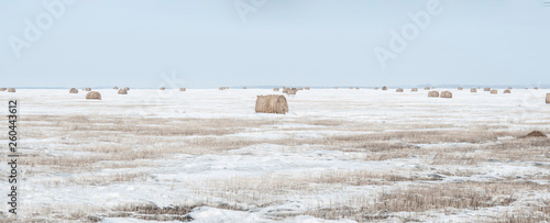 Snow covered round bale of hay in a farmers field