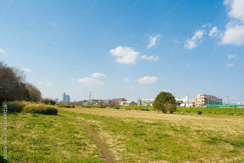 青空と自然 青空と自然