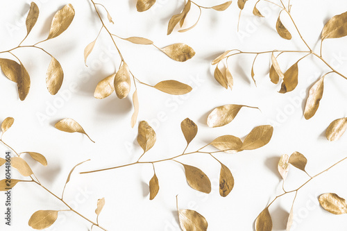 Eucalyptus leaves on white background. Pattern made of golden eucalyptus branches. Flat lay, top view