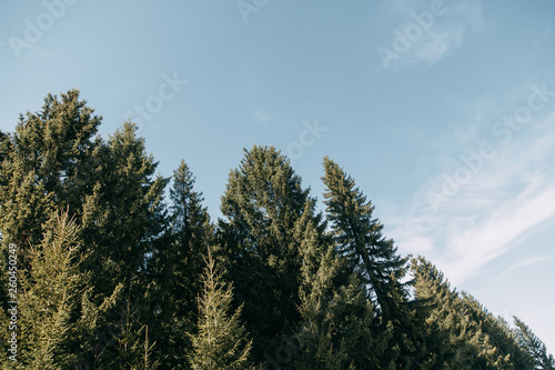 Winter travel and nature. A young blogger sits and stands on a mountain with a beautiful view.