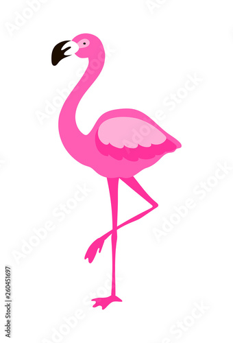 Pink flamingo standing on one leg isolated on white. Vector illustration