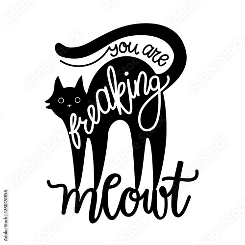Vector illustration with black cat and lettering text - you are freaking meowt.
