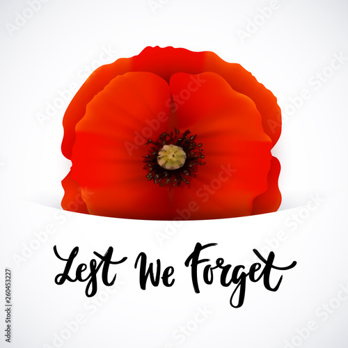 Remembrance day vector poster design with lettering