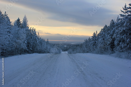 road in winter © Юлиана Литвинюк