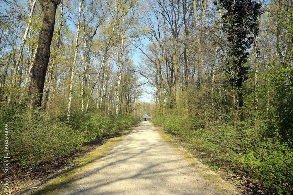 volkspark jungfernheide volkspark jungfernheide