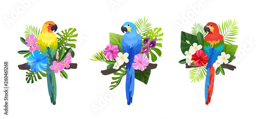 tropical bird composition