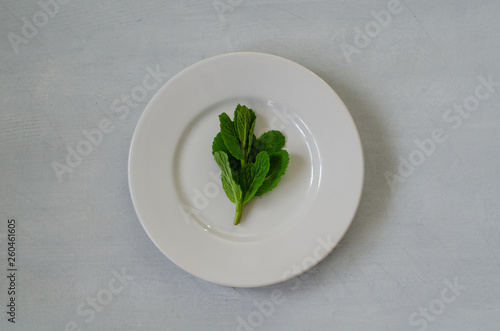 Green mint leaves isolated on a white plate.