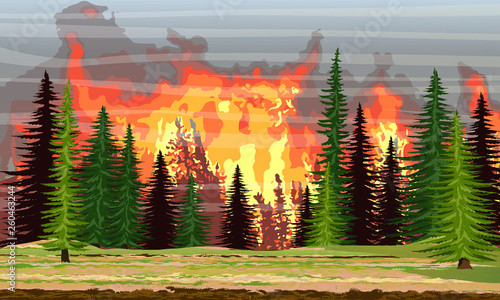 Fire in the spruce forest. Burning trees. Wildfire. Catastrophe. Realistic Vector Landscape