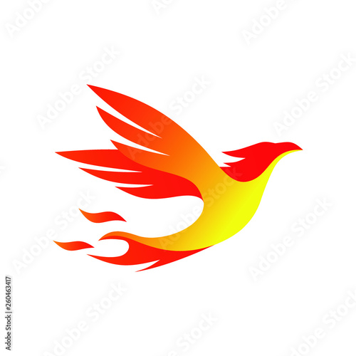 Phoenix Fire Logo Vector