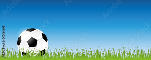 football on green meadow banner with copy space vector illustration EPS10