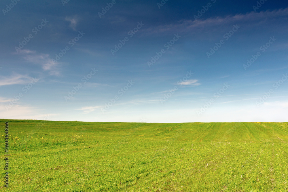 green field of grass and blue sky with clouds