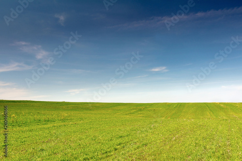 green field of grass and blue sky with clouds