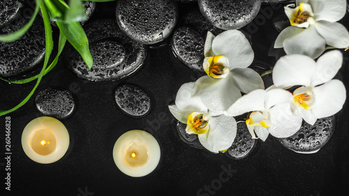 top down of spa composition white orchid (phalaenopsis), candles and black zen stones with drops in water, panorama