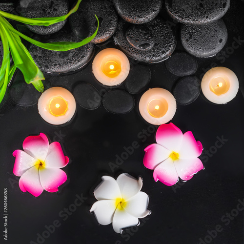 top view of spa concept with plumeria flowers  green leaves and candles on black zen stones in water