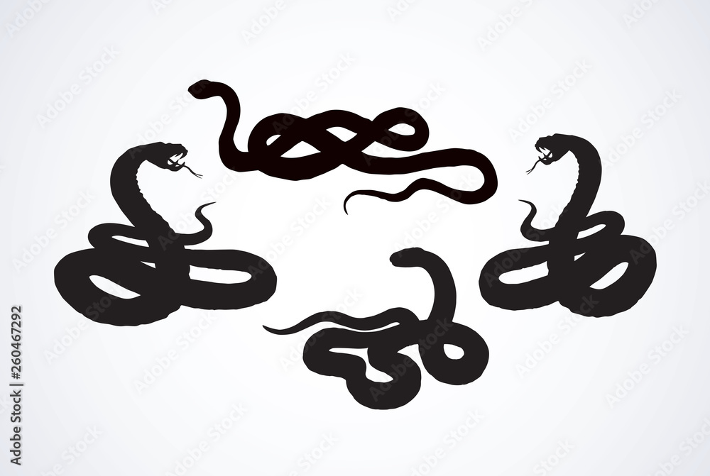 Snake. Vector drawing Snake. Vector drawing