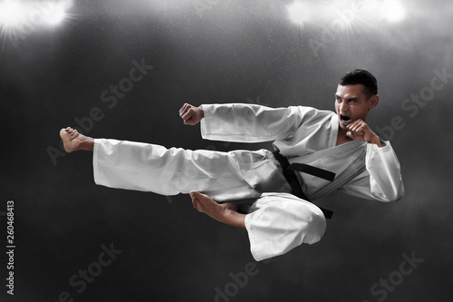 Martial arts karate kick photo