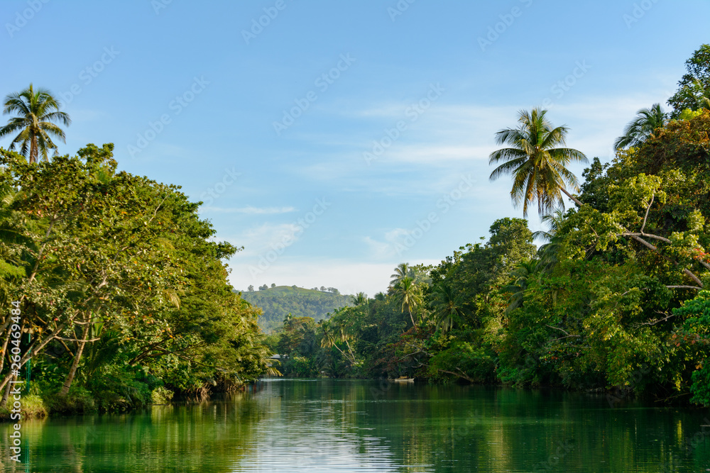 Jungle river in the tropical forest	