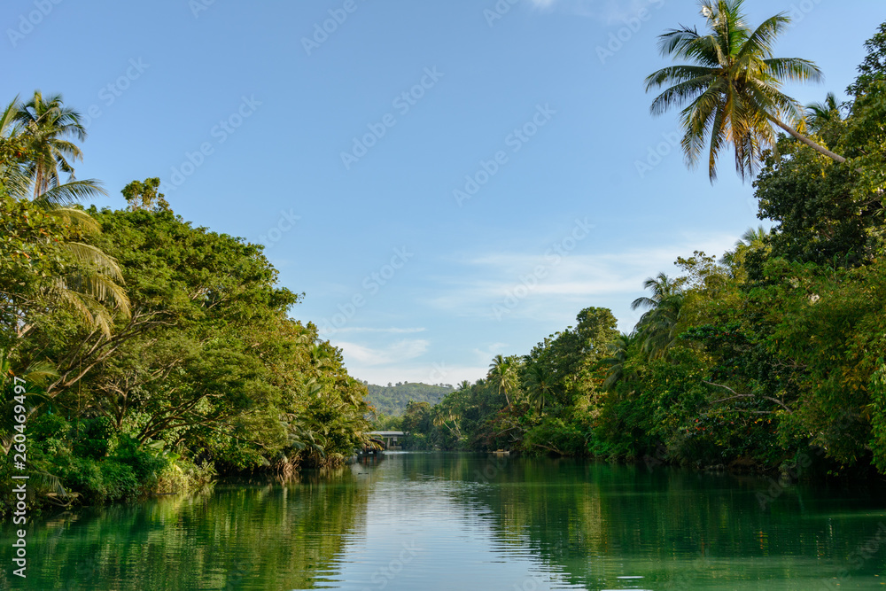 Jungle river in the tropical forest Jungle river in the tropical forest